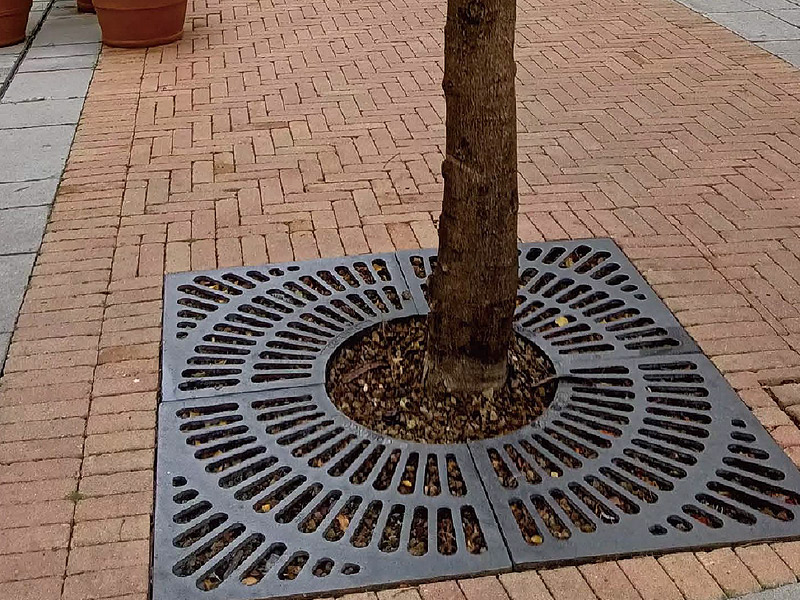 塞纳河畔